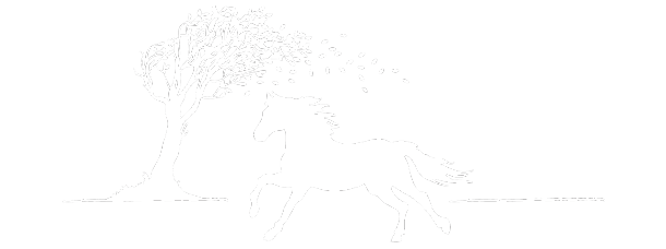Black Horse Trails